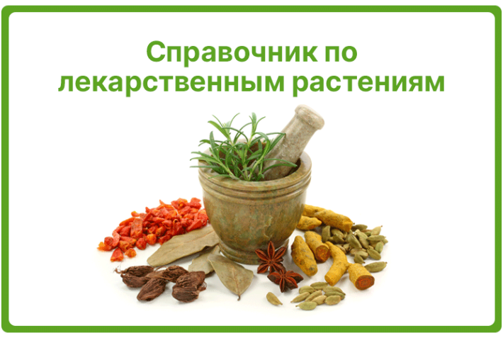 Справочник по лекарственным (индийским) растениям