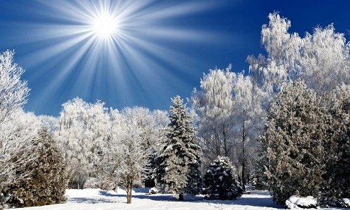 Как оставаться здоровым в морозную и ветреную погоду фото