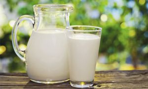 Характеристики молока с точки зрения аюрведы фото