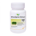 Экстракт ростков пшеницы Биотрекс (Wheatgrass Extract Biotrex), 60 кап.