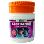 Жевательные таблетки от кашля и боли в горле без сахара Кантамрит Дивья (Kanthamrit Chewable Sugar Free Tablet Divya), 40 таб.