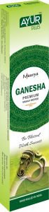  Фото - Благовония натуральные Аюр Плюс Ganesha Premium Masala Incense (Ayur Plus), 18 г.