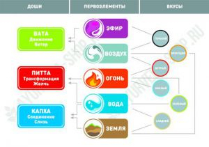 Вкусы. Доши. Первоэлементы.