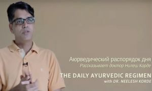 Диначарья - аюрведический распорядок дня. Работа и обед