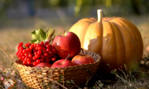 Правила питания в осенний период