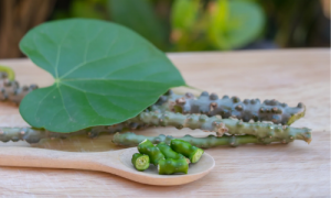 Гудучи: эликсир бессмертия