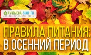Здоровое питание осенью