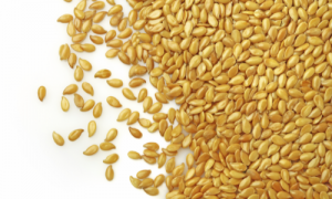 Волшебные семена сезама