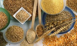 Аюрведические рекомендации для людей типа Питта