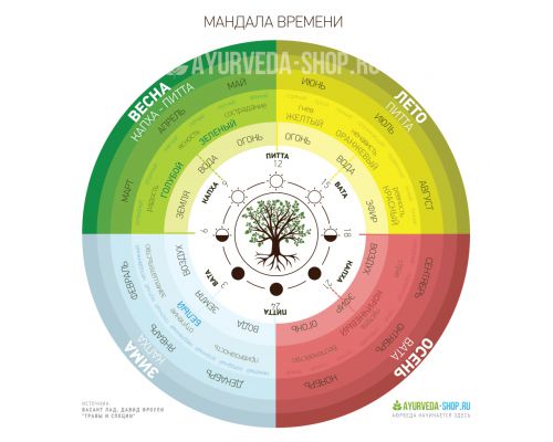 Мандала времени
