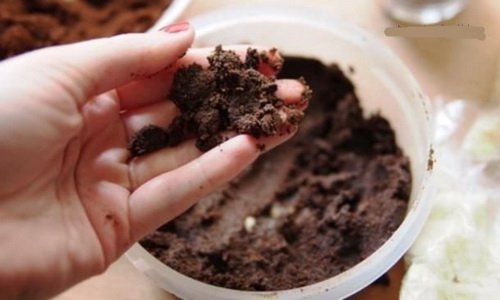 Как поддерживать красоту с помощью кофе Как поддерживать красоту с помощью кофе