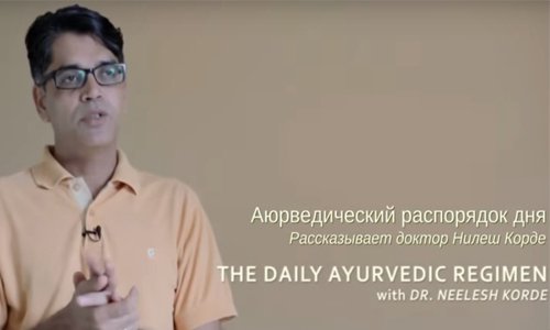 Диначарья - аюрведический распорядок дня. Работа и обед