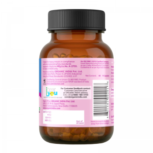 Амалаки Органик Индия (Amalaki Organic India), 60 кап.