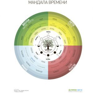 Постер "Мандала времени"