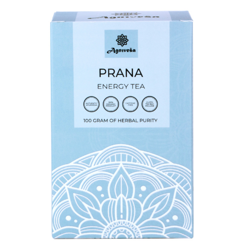 Аюрведический энергетический чай Прана Агнивеша (Prana Energy Tea Agnivesa), 100 г.