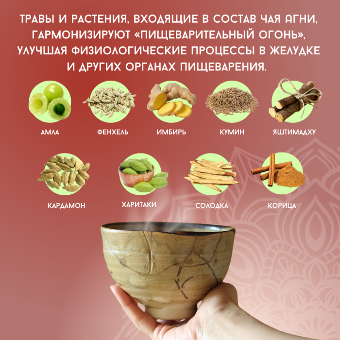 Аюрведический регулирующий чай Агни Агнивеша (Agni Regulating Tea Agnivesa), 100 г.