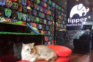 Шлепанцы Fipper Slick (мужские) из натурального каучука, UK/8, RUS/42