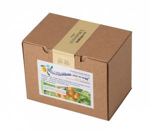 Натуральное моющее средство «Мыльные орехи» (S.Mukorossi) для стирки 0,5 кг.