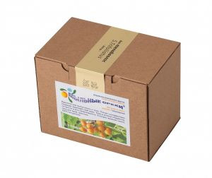 Натуральное моющее средство «Мыльные орехи» (S.Trifoliatus) для волос и тела, 0,5 кг.