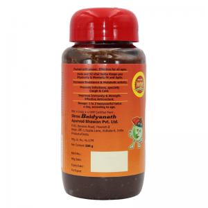Чаванпраш Спешл Байдианат (Chyawanprash Special Baidyanath), 500 г.