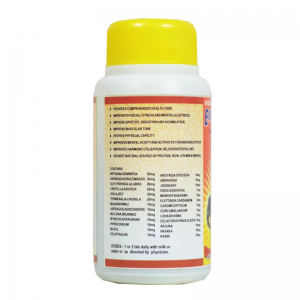 Энерджи Форте Шри Ганга (Energy Forte Tab Shri Ganga), 100 таб.